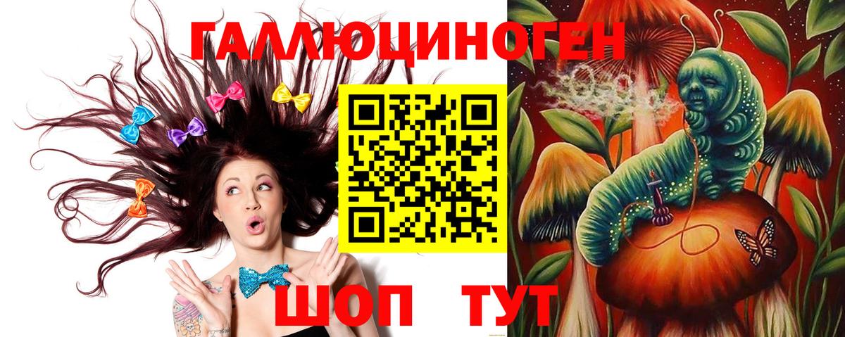 Галлюциногенные грибы Psilocybine cubensis  Вход с VPN  Нальчик 